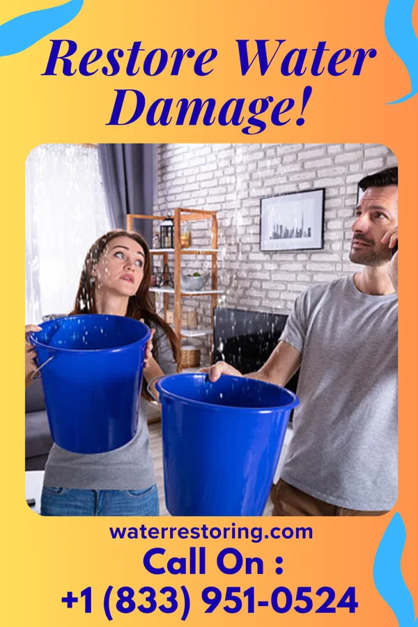 water restoration Superior Drying Company Bassett